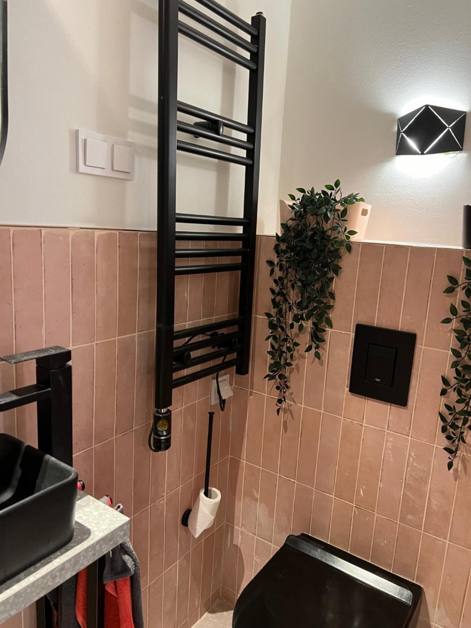 Apartament Pink42 Ministudio2 *